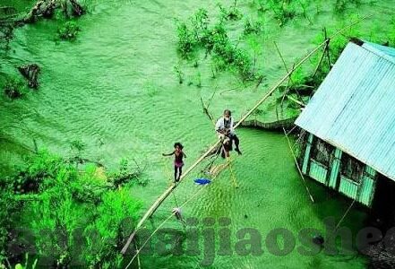 伦理片片影中文字幕-伦理片，字影间的道德探索