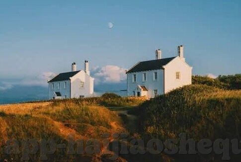 麻豆传媒视频资源-麻豆传媒视频资源，透视网络文化与信息价值的复杂交织